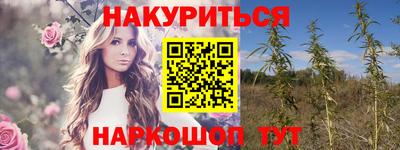 каннабис Ачхой-Мартан