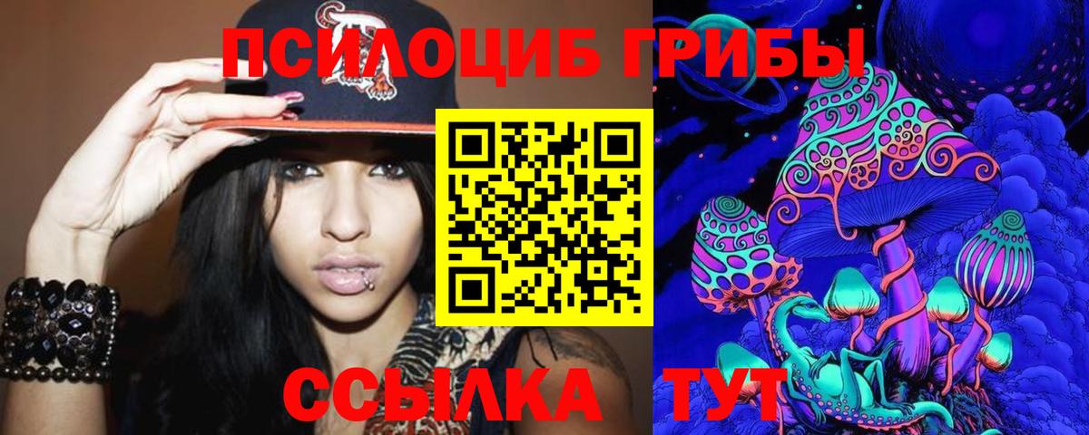 Галлюциногенные грибы Psilocybine cubensis  Вход с VPN  Сатка 